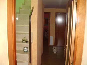imagen 180 (14)